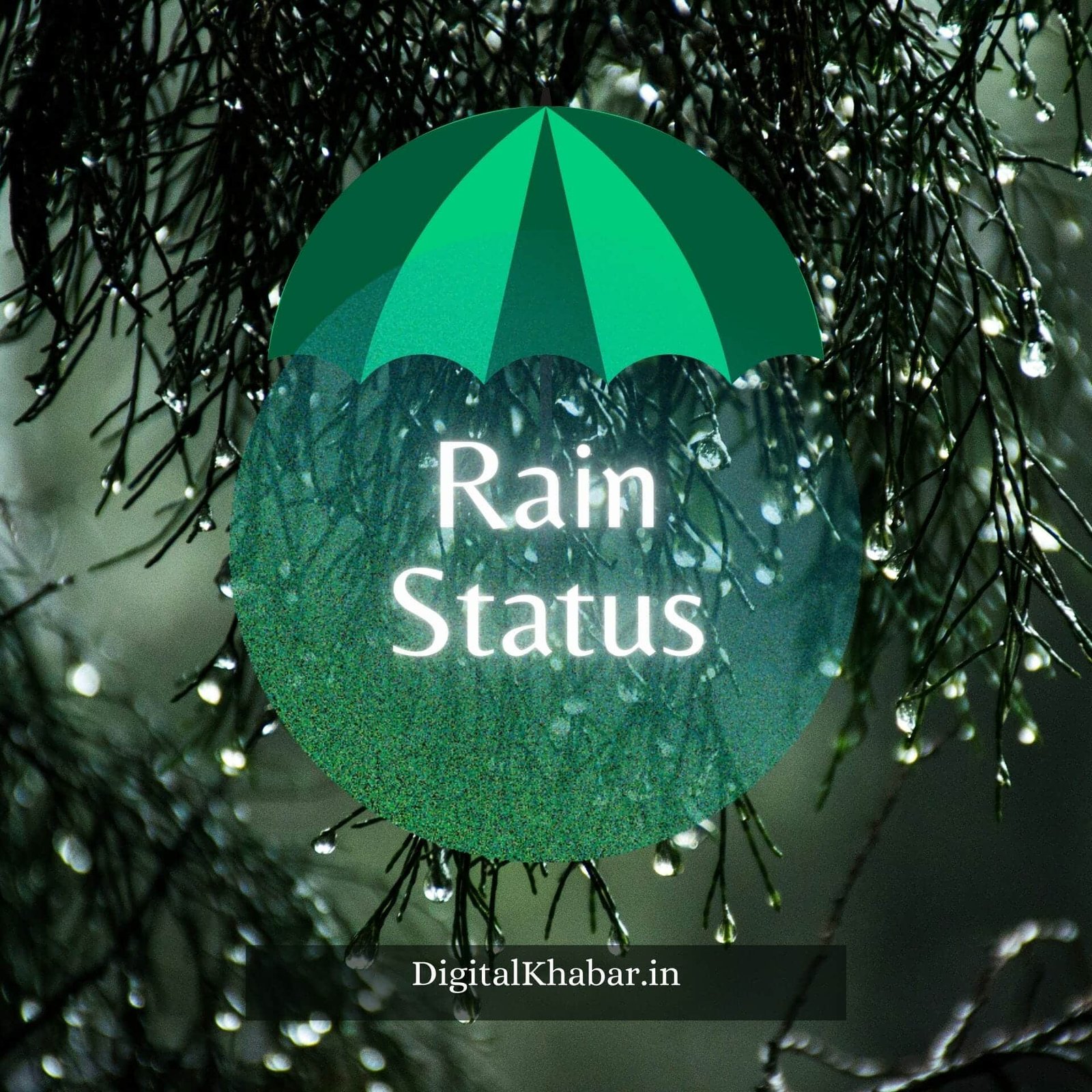 Rain Status in English