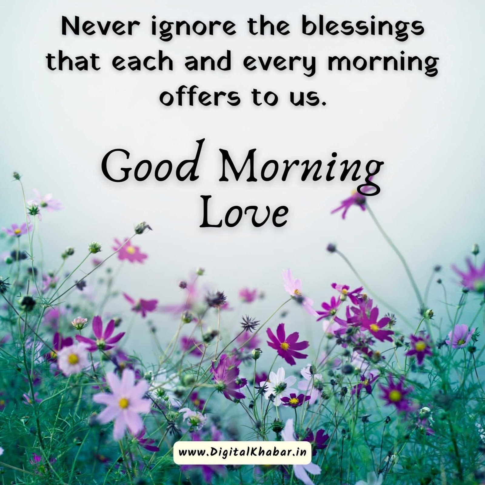 Good morning love Quotes for whatsapp