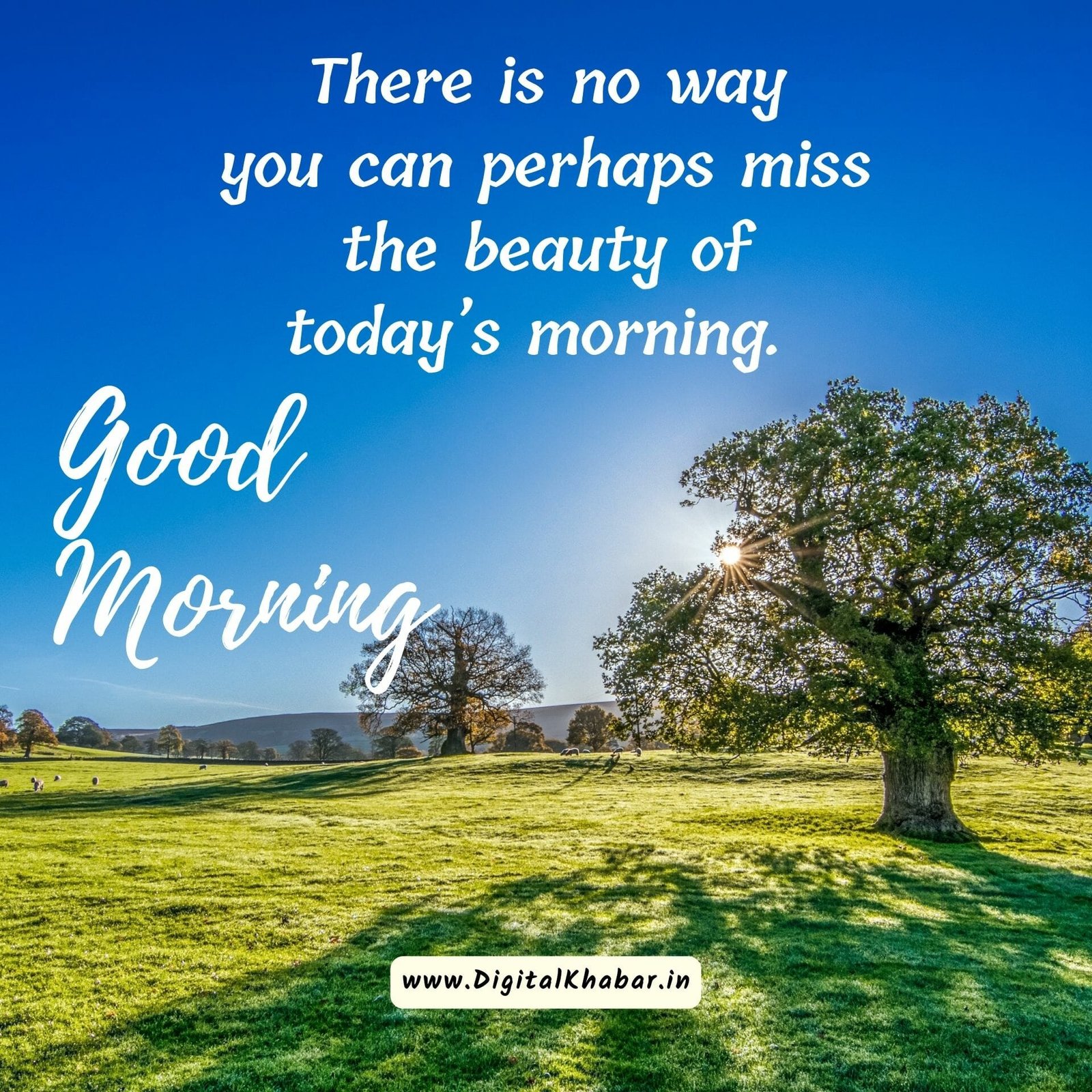 Good morning nature images with quotes